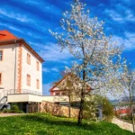 Schloss Geisa - Frühling umgibt das Schloss Geisa